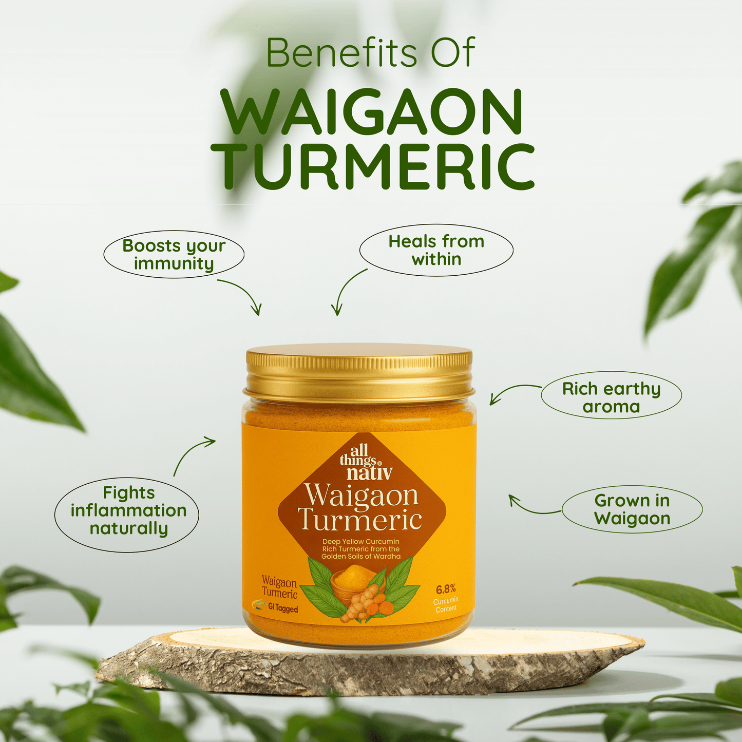 Waigaon Turmeric Powder (160g)