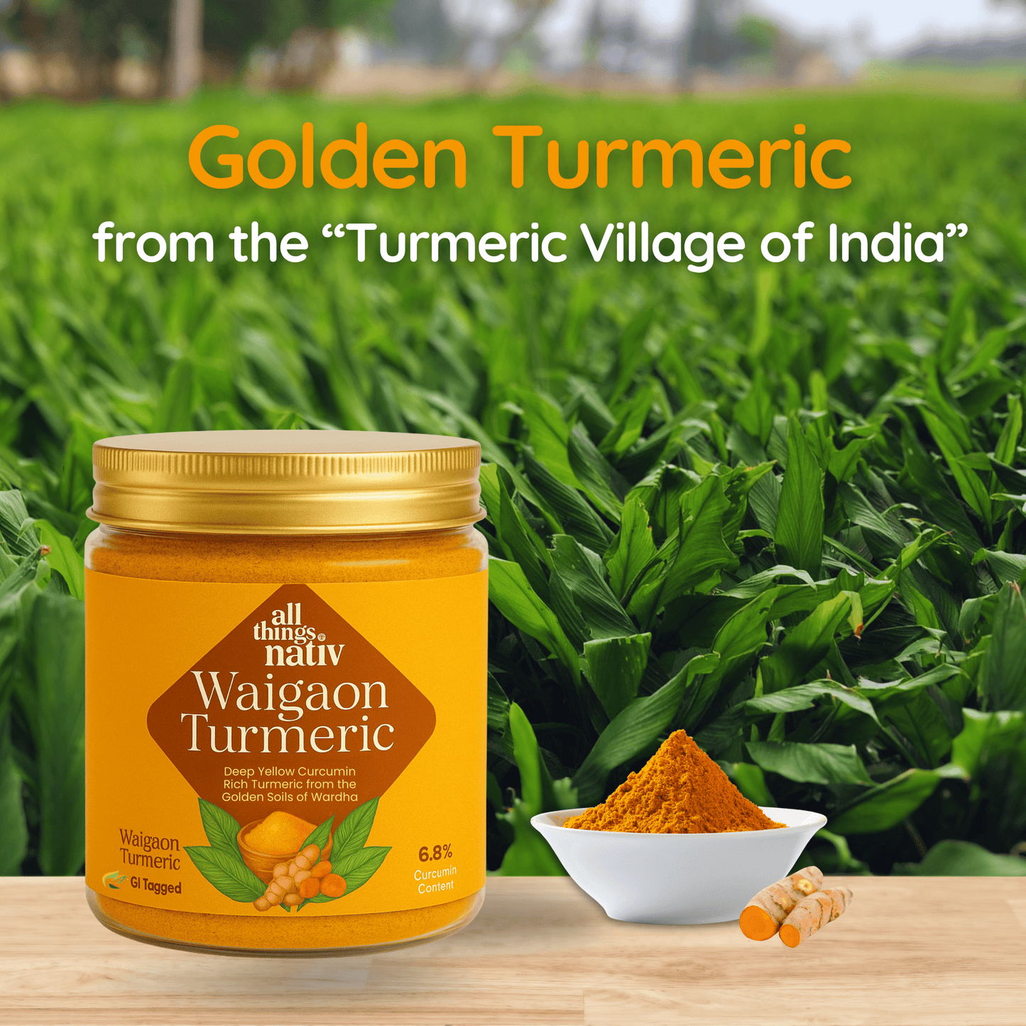 Waigaon Turmeric Powder (160g)